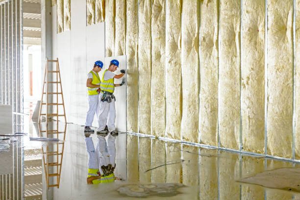 Best Residential Insulation in Tiffin, IA